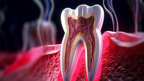 Traitement endodontique
